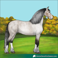 Horse Color:Gray Bay Roan Dun Splash 