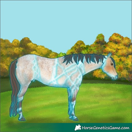 Horse Color:Thunderstruck Chocolate Buckskin Roan 