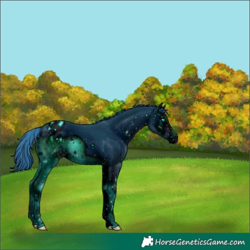 Horse Color:ERROR: UNKNOWN ANOMALY