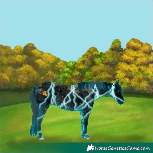 Horse Color:Void Thunderstruck White Spotted Bay Splash 