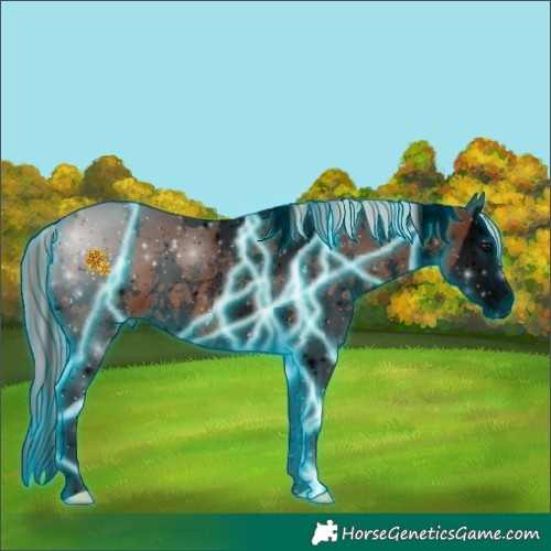 Horse Color:Void Thunderstruck White Spotted Silver Brown Sabino Splash 