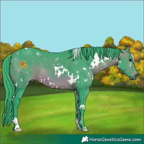 Horse Color:Watercolor White Spotted Brown 