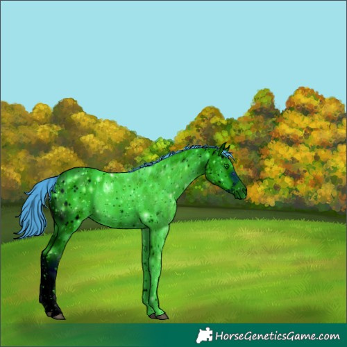 Horse Color:ERROR: UNKNOWN ANOMALY