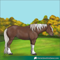Horse Color:Silver Black Tobiano 