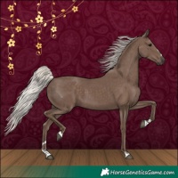 Horse Color:Silver Black 