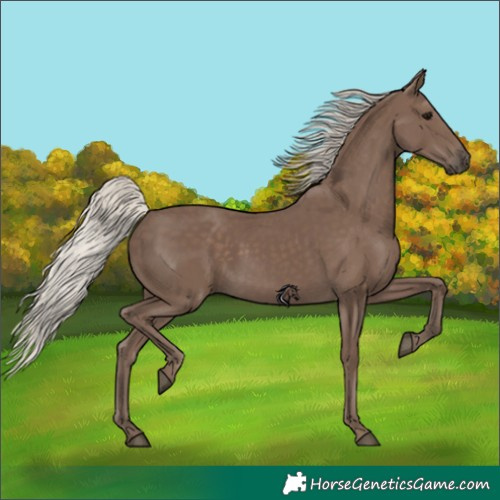 Horse Color:Silver Black 