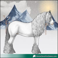 Horse Color:White Spotted Black