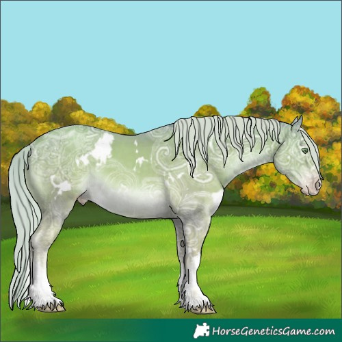 Horse Color:Watercolor White Spotted Gold Cream Champagne Ice 