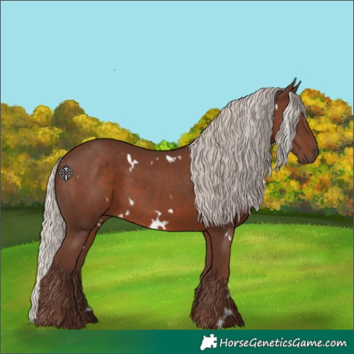 Horse Color:White Spotted Silver Black 