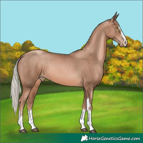 Horse Color:Liver Chestnut Pearl Mushroom 