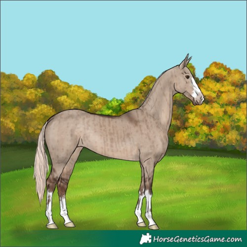 Horse Color:Liver Red Dun Mushroom Brindle 