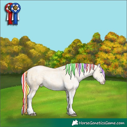 Horse Color:Painted Silver Buckskin Ice Pearl Dun Tobiano Rabicano 