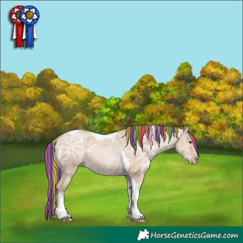 Horse Color:Painted Grullo Ice Pearl Tobiano Rabicano 