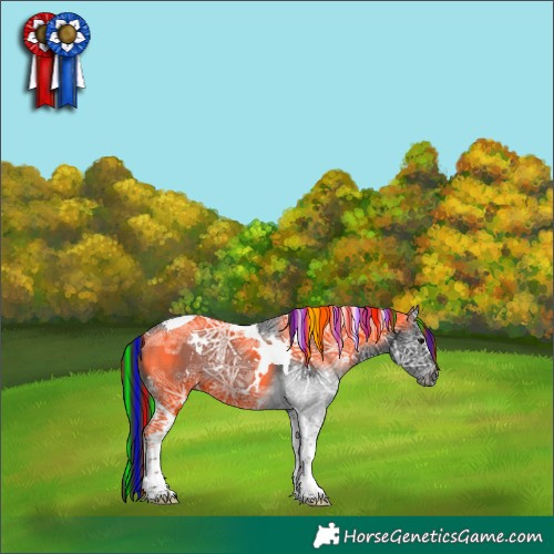 Horse Color:Painted White Spotted Black Ice Tobiano 