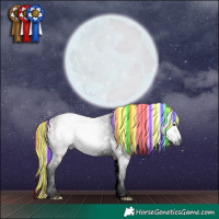 Horse Color:Gray Void Painted Silver Brown Ice Dun Sabino Tobiano 