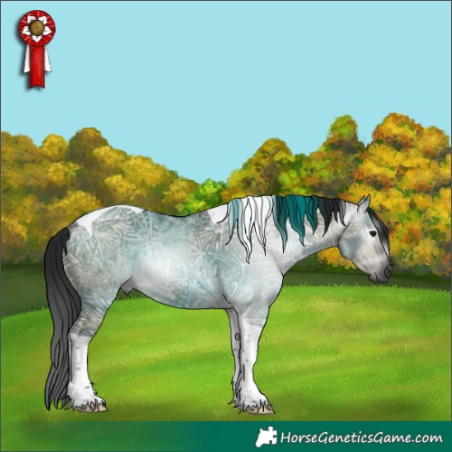 Horse Color:Gray Buckskin Ice Dun Tobiano 