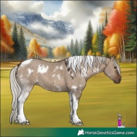 Horse Color:White Spotted Silver Brown Dun Tobiano 