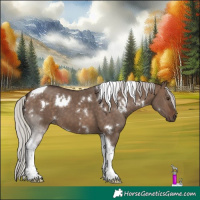 Horse Color:White Spotted Silver Brown Dun Tobiano 