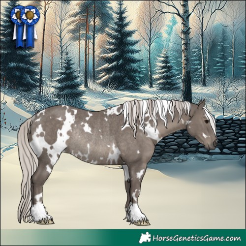 Horse Color:White Spotted Silver Black Rabicano 