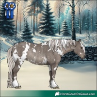 Horse Color:White Spotted Silver Black Rabicano