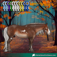 Horse Color:White Spotted Silver Brown Splash Rabicano
