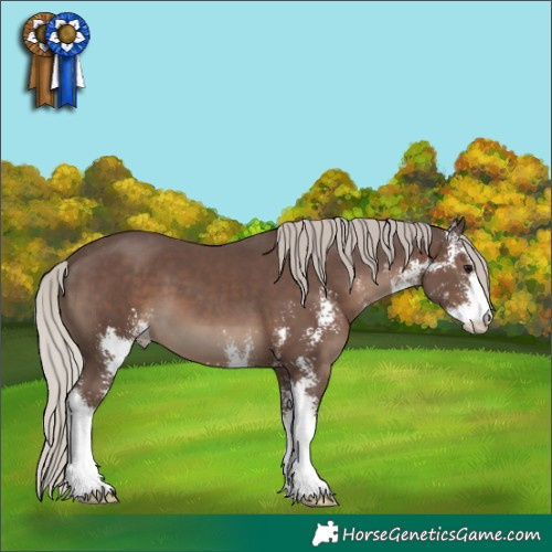Horse Color:Silver Black Sabino 