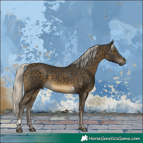 Horse Color:Silver Buckskin Tobiano 