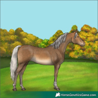 Horse Color:Silver Buckskin Tobiano 