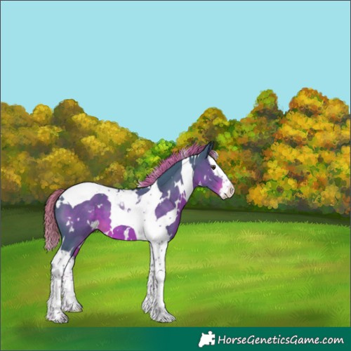 Horse Color:Watercolor White Spotted Liver Chestnut Splash Tobiano 
