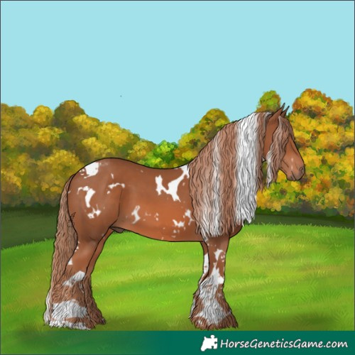 Horse Color:White Spotted Chestnut Tobiano 