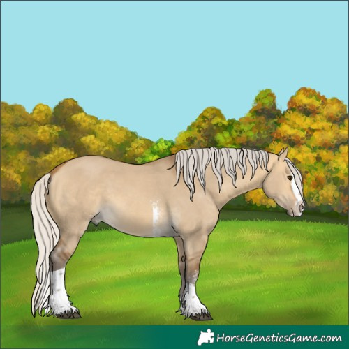 Horse Color:Silver Buckskin Dun Sabino Splash Tobiano 