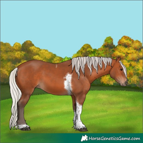 Horse Color:Silver Bay Tobiano 