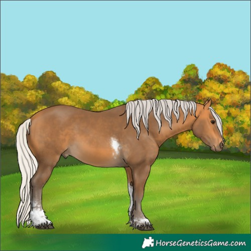 Horse Color:Silver Buckskin Tobiano 