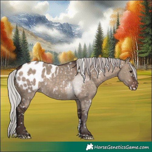 Horse Color:White Spotted Silver Brown Dun Tobiano Blanket