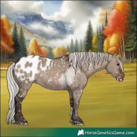 Horse Color:White Spotted Silver Brown Dun Tobiano Appaloosa 