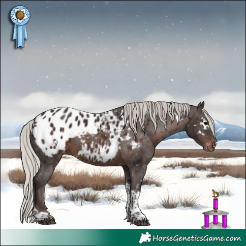 Horse Color:White Spotted Silver Brown Tobiano Appaloosa 