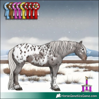 Horse Color:White Spotted Silver Brown Tobiano Appaloosa 