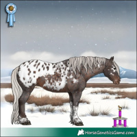 Horse Color:White Spotted Silver Brown Tobiano Appaloosa 