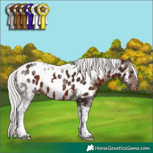Horse Color:White Spotted Silver Brown Tobiano Near Leopard 