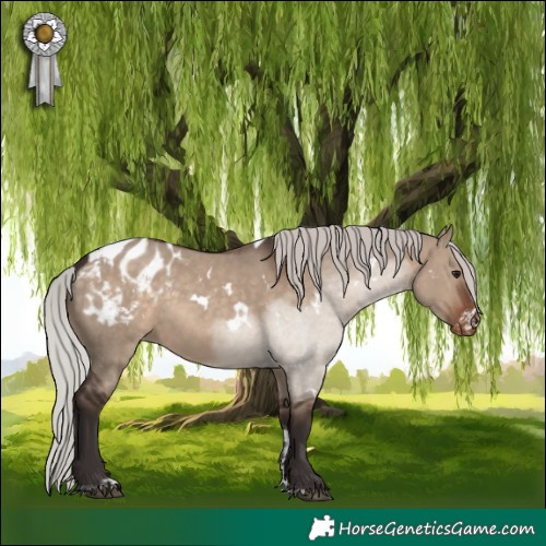 Horse Color:White Spotted Silver Brown Dun Tobiano Appaloosa 