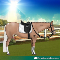 Horse Color:Silver Black Pearl Sabino Tobiano