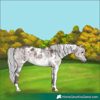 Horse Color:Platinum White Spotted Silver Brown Dun Brindle 