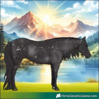 Horse Color:Smoky Black