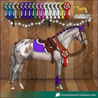 Horse Color:Sable Champagne Appaloosa