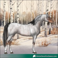 Horse Color:Liver Red Roan Tobiano