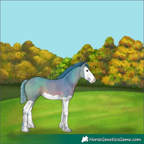 Horse Color:Watercolor Bay Splash 