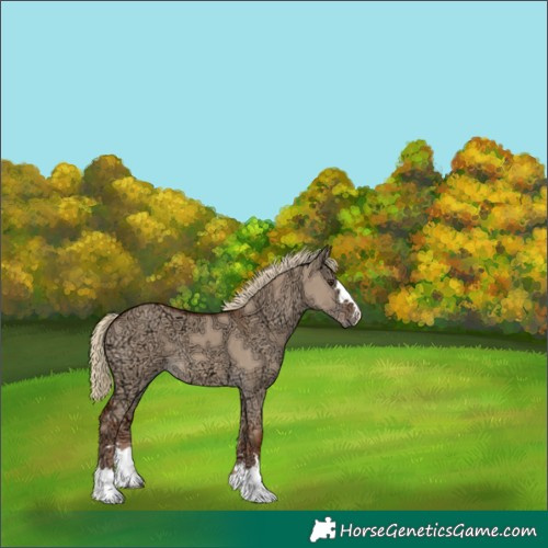Horse Color:Red Dun Ice 