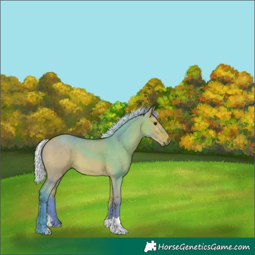 Horse Color:Watercolor Silver Bay Dun 