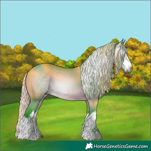 Horse Color:Gray Watercolor White Spotted Silver Bay 