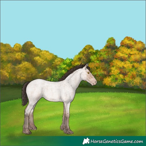 Horse Color:Amber Champagne Ice Roan 